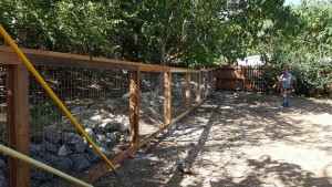 A man is standing next to a fence in a backyard.