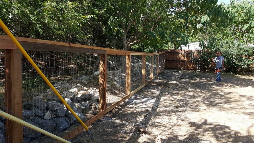 A man is standing next to a fence in a backyard.