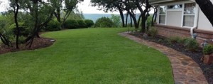A lawn with grass and trees in front of a house.