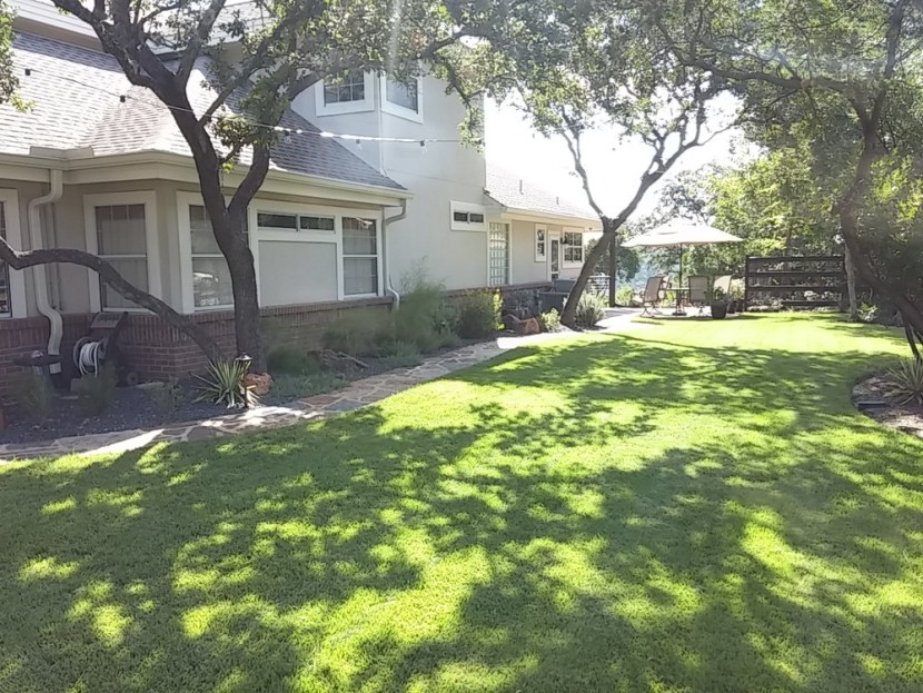 A backyard with a lawn and trees.