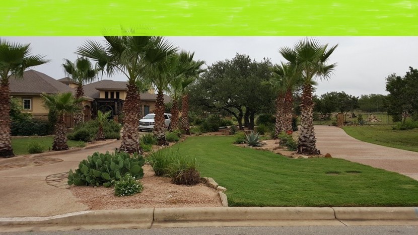 A driveway with palm trees and a green sign.