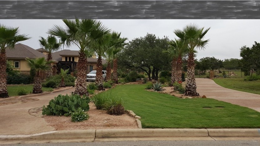 A house with palm trees and grass in front of it.